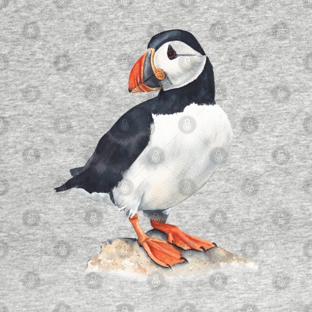 Puffin bird art. by InnaPatiutko